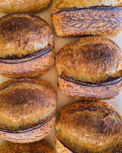 Freshly baked sourdough loaves